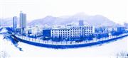 柞水县城雪景